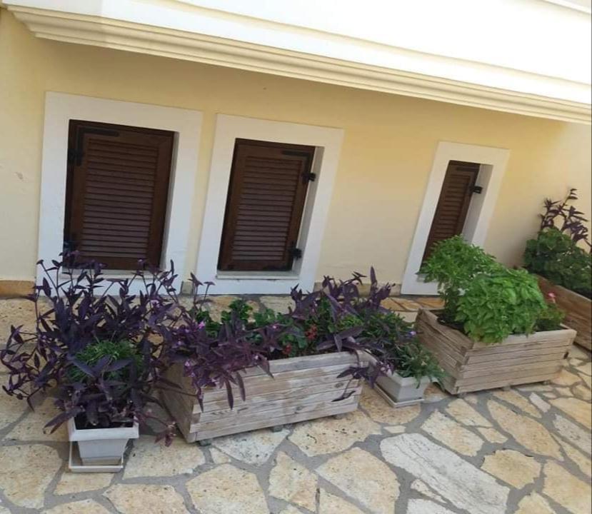 VILLA KAROLINA Tsogkas Szívota Kültér fotó